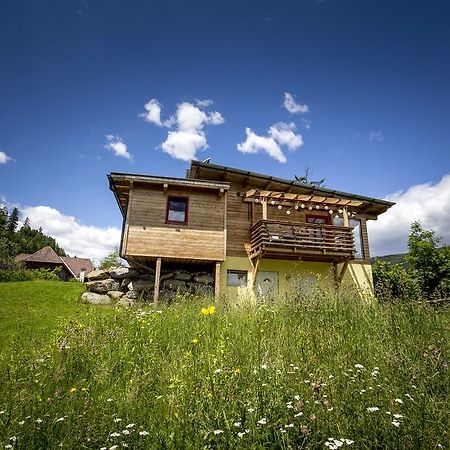 Gaestehaus Biobauernhof Mandl Murau Eksteriør billede