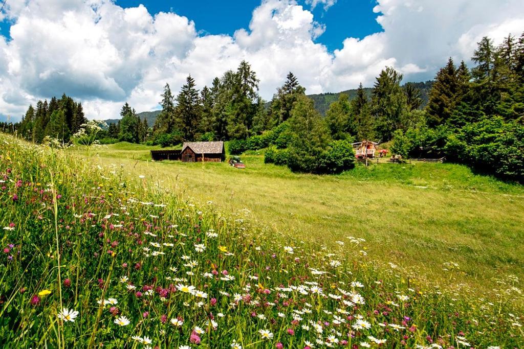 Gaestehaus Biobauernhof Mandl Murau Eksteriør billede